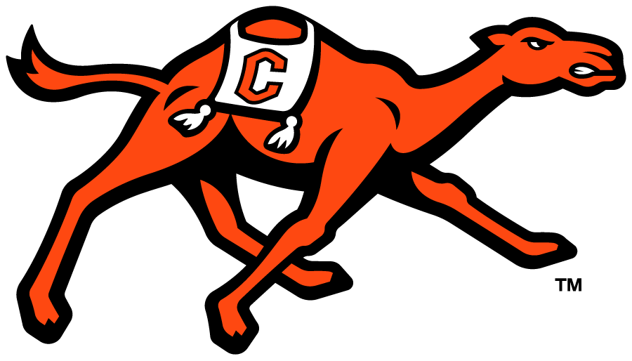 Campbell Fighting Camels iron ons